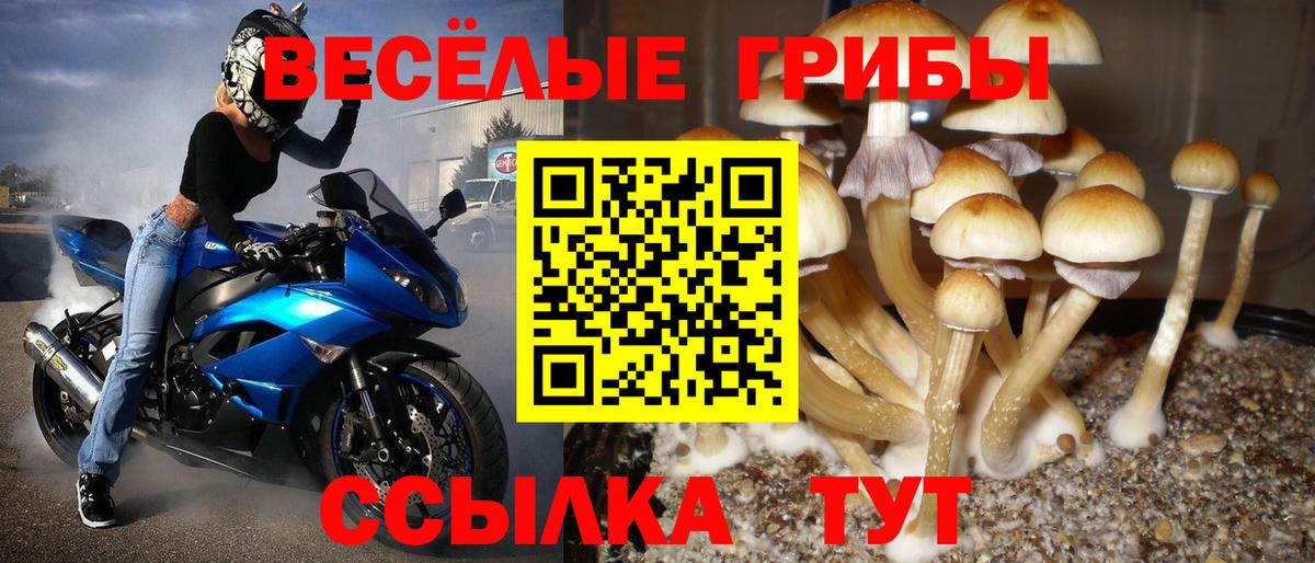 Псилоцибиновые грибы Magic Shrooms  Вход с VPN  Великий Новгород 